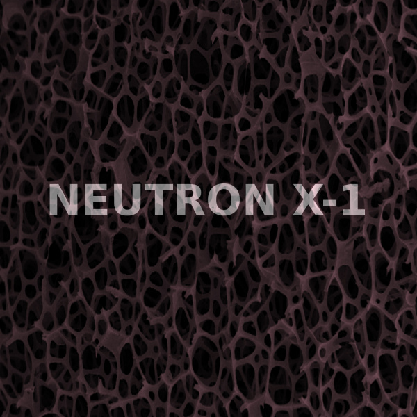 Fichier:Neutrond-x1.jpg